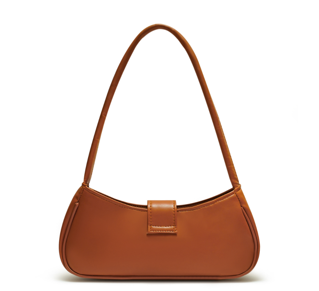 Ariana Brown Bag